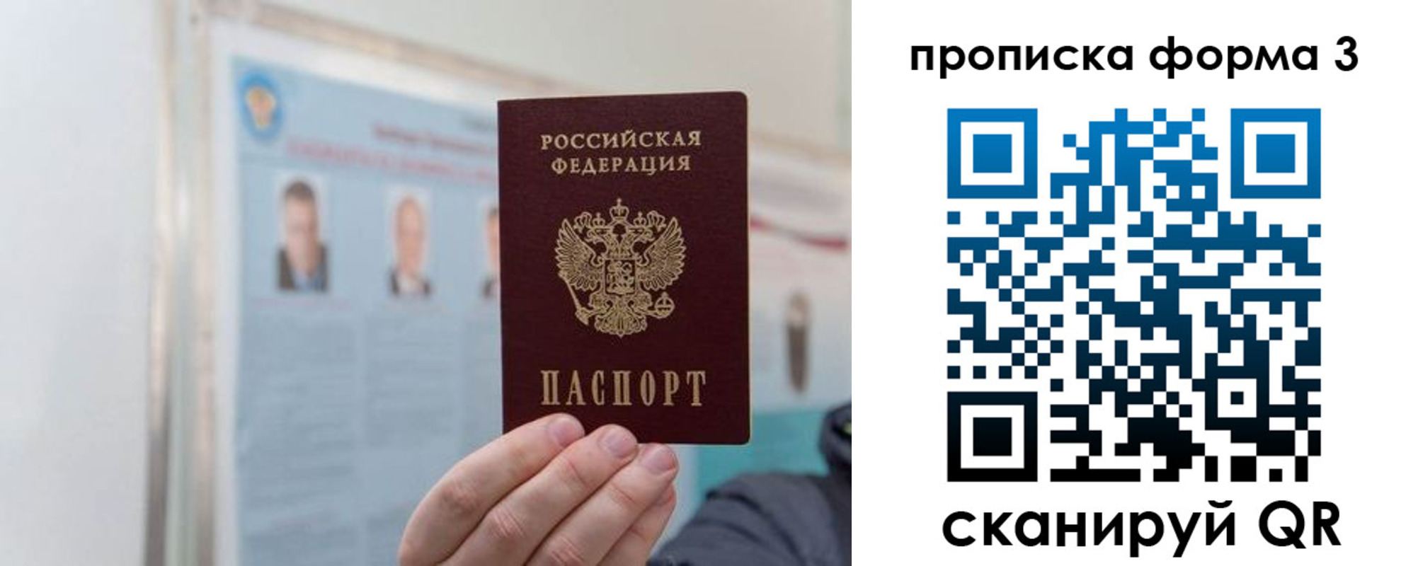 прописка законно в Курской области